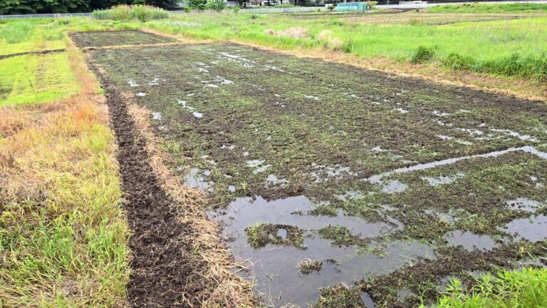 初めての田んぼ訪問！休耕地を活かす挑戦のはじまりの巻
