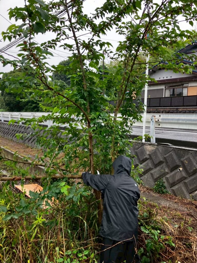 休耕地を整える第一歩の巻