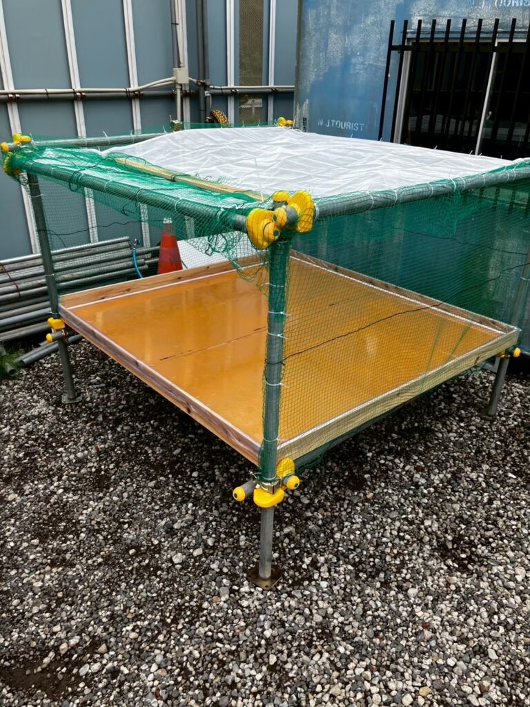 苗の置き場づくり！の巻