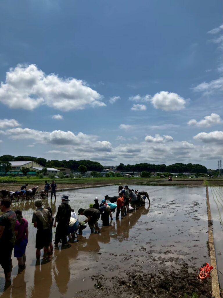 国際交流の田植え見学！手植えの楽しさと学びの一日の巻