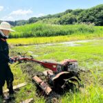 初めて田んぼで代掻きを実施している様子。
