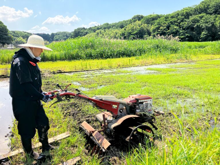 初めて田んぼで代掻きを実施している様子。