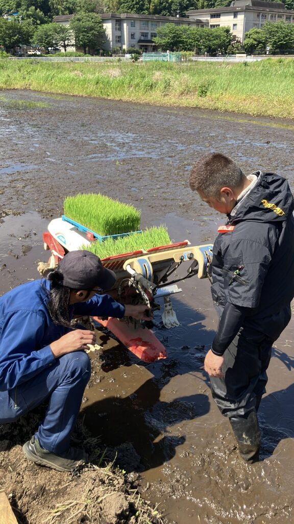 初めての田植え機