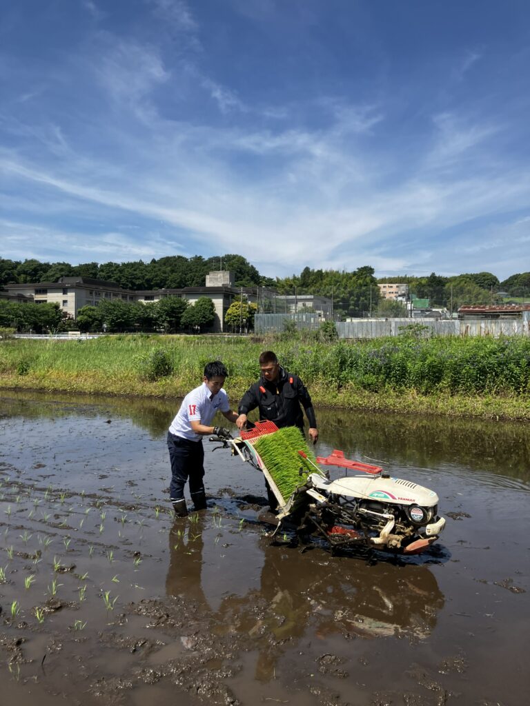 初めての田植え機