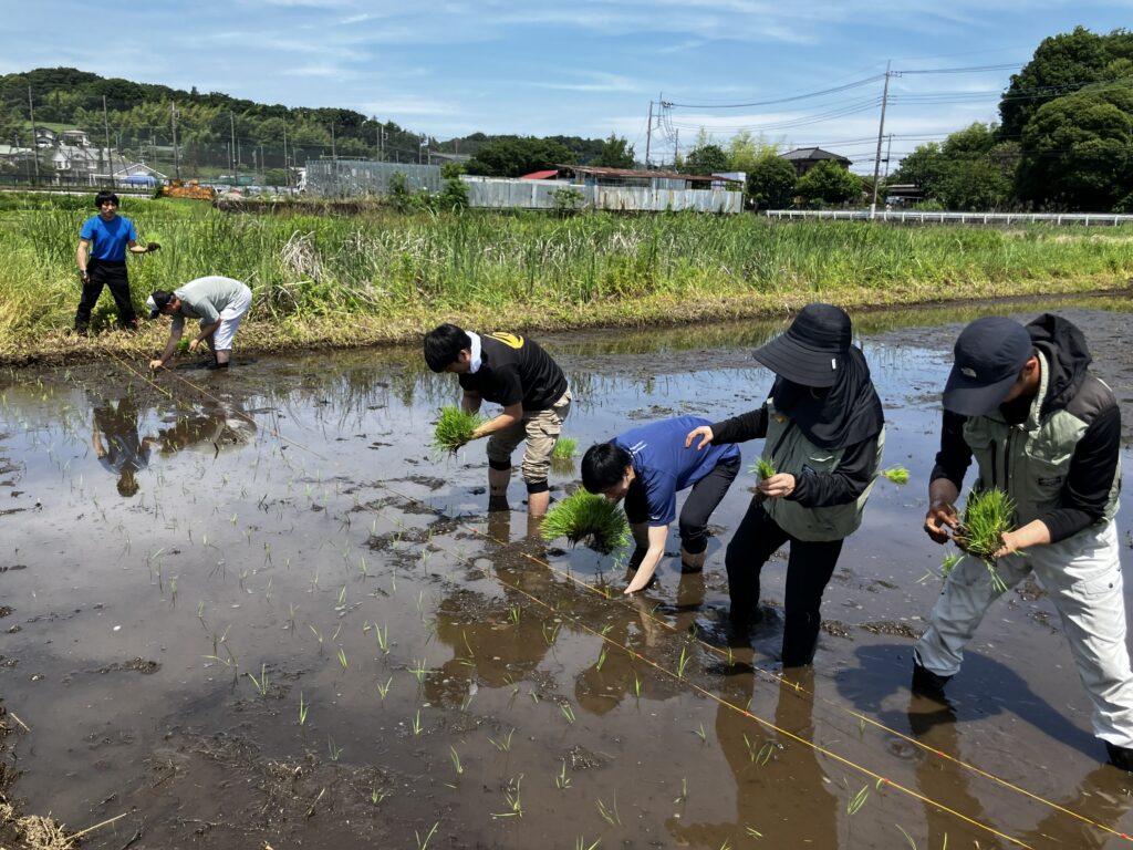 初めての手植えの様子