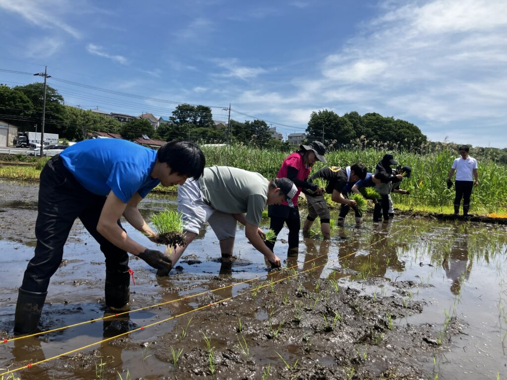 初めての手植え