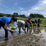 初めての手植え