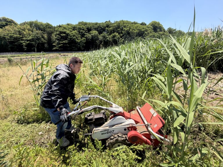 背丈を超える雑草との戦い！荒廃農地再生プロジェクト始動