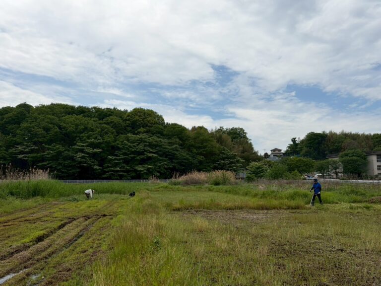 田植えまであと少し！田んぼに水が入りました